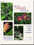 Your Florida Landscape