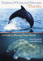 Cover of 'Dolphins, Whales, and Manatees of Florida' by John E. Reynolds and Randall S. Wells 