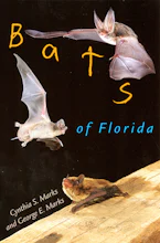 Cover of 'Bats of Florida' 