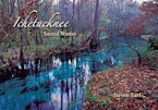 Cover of 'Ichetucknee' by Steven Earl 