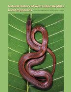 Cover of 'Natural History of West Indian Reptiles and Amphibians' by Robert W. Henderson and Robert Powell 