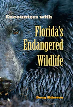 Cover of 'Encounters with Floridas Endangered Wildlife' 