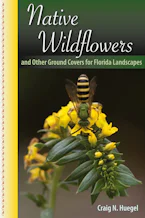 Cover of 'Native Wildflowers and Other Ground Covers for Florida Landscapes' by Craig N. Huegel 