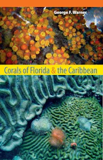 Cover of 'Corals of Florida and the Caribbean' 