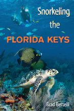 Cover of 'Snorkeling the Florida Keys' 