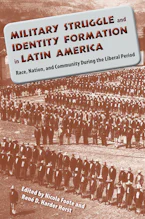 Cover of 'Military Struggle and Identity Formation in Latin America' 
