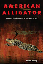 Cover of 'American Alligator' 