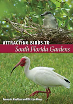 Attracting Birds to South Florida Gardens