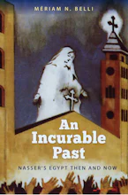 Cover of 'An Incurable Past' 
