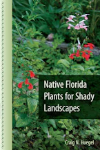 Native Florida Plants for Shady Landscapes