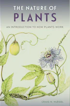 The Nature of Plants