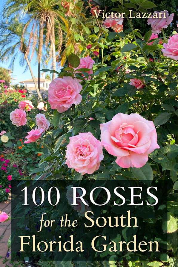 The book cover image of