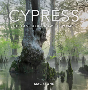 Cover of 'Cypress' by Mac Stone 
