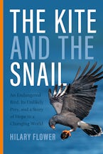 The Kite and the Snail