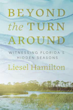 Cover of 'Beyond the Turn Around' by Liesel Hamilton 