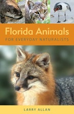 Florida Animals for Everyday Naturalists