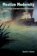 Mestizo Modernity